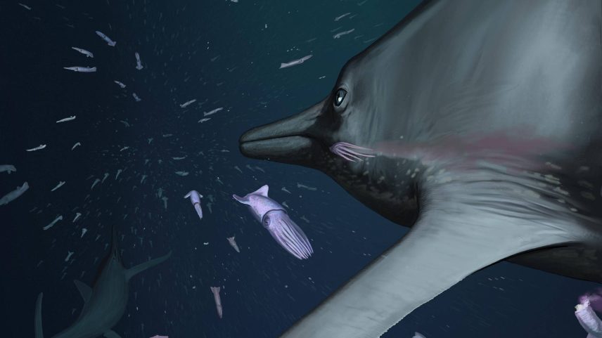 Reconstrução da vida do grande ictiossauro jurássico - Joschua Knüppe (Foto: Joschua Knüppe)