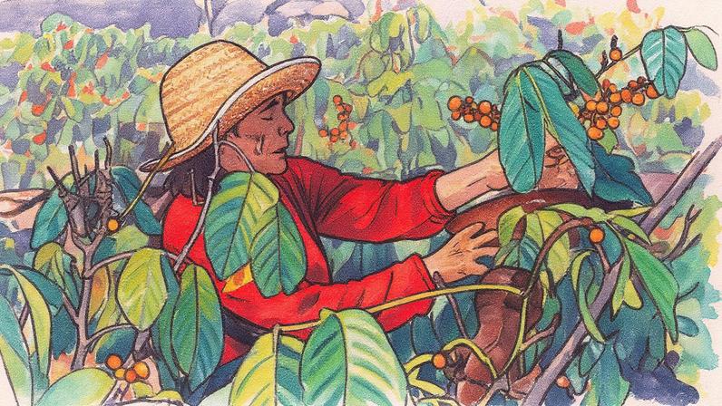 Brasil tem uma oportunidade única de ser um grande provedor de soluções verdes para o mundo (Foto: Reprodução)