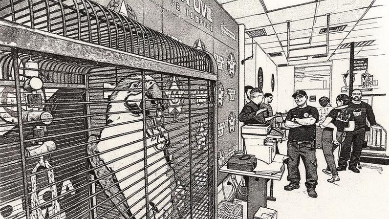 Mais de 700 animais foram resgatados (Foto: Reprodução)