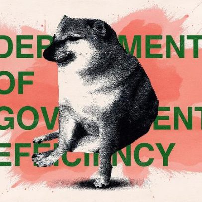 DOGE acabou, e em seu rastro resta apenas o caos