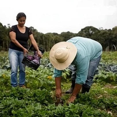 Medida Provisória libera R$ 190 milhões para fortalecer a agricultura familiar