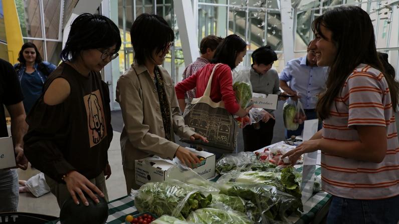 Caption: MIT graduate students select Napa cabbage and other produce harvested the previous day by MIT volunteers at the Monday Farm Stand in Stata Lobby.